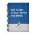 Wayne Gorman - How to Trade in a Fast-Moving Bear Market 
